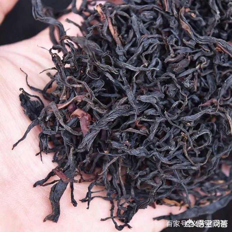 日照绿茶：中国茶文化的一颗璀璨明珠