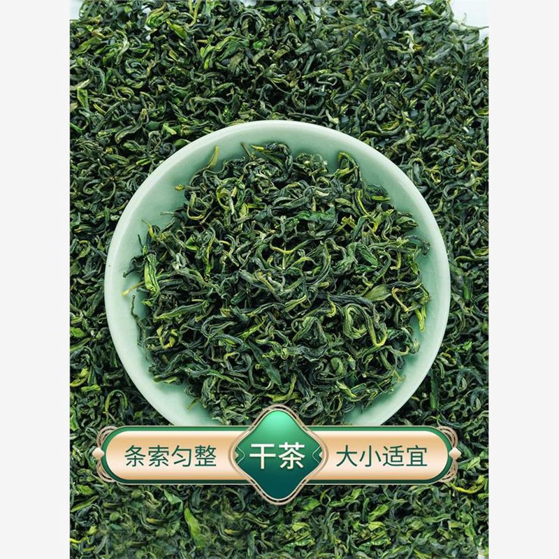日照绿茶新茶