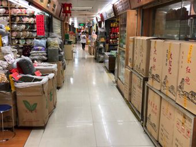 探寻日照绿茶的生长秘密