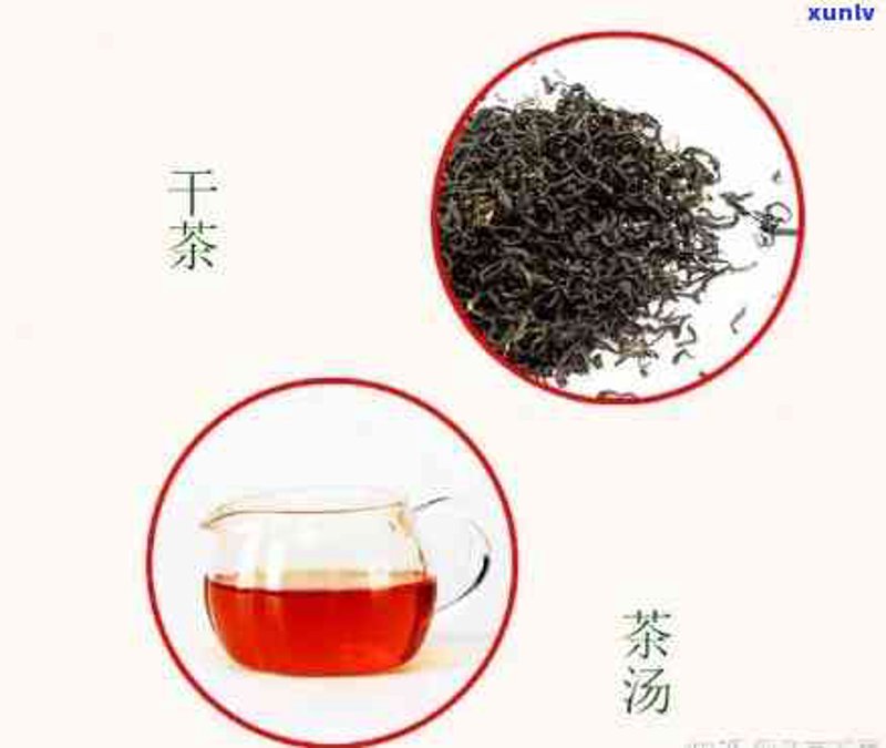 探寻日照绿茶的美味密码