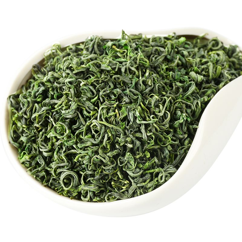 日照绿茶：春日里的绿色诗篇