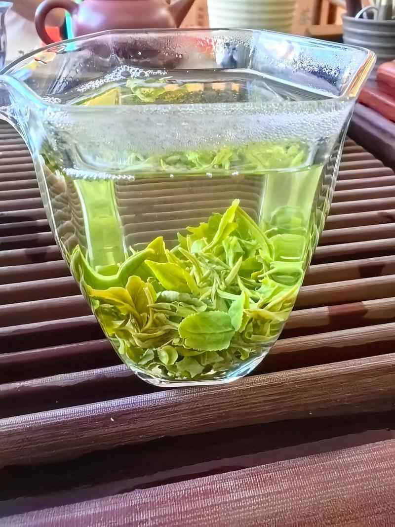 日照茶叶