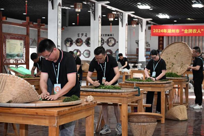 日照绿茶厂家新风采：行业动态与发展趋势
